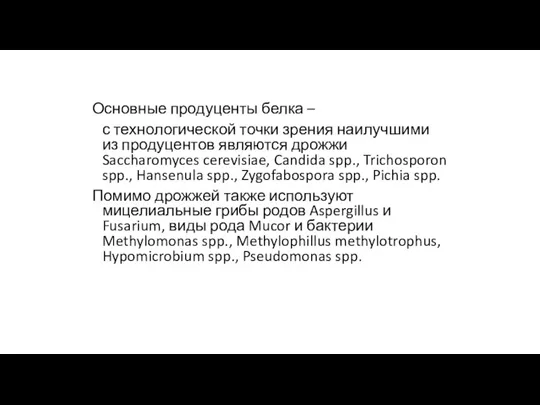 Основные продуценты белка – с технологической точки зрения наилучшими из