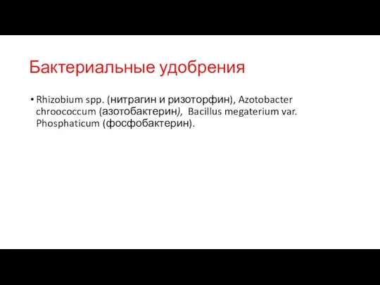 Бактериальные удобрения Rhizobium spp. (нитрагин и ризоторфин), Azotobacter chroococcum (азотобактерин), Bacillus megaterium var. Phosphaticum (фосфобактерин).