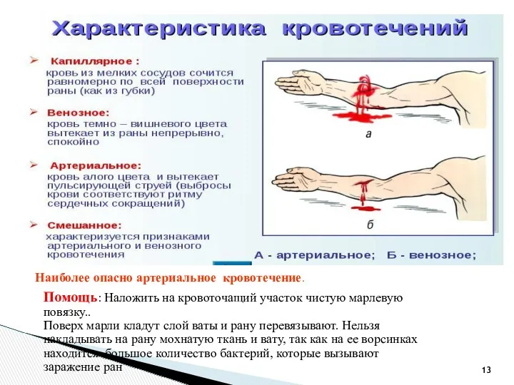 Помощь: Наложить на кровоточащий участок чистую марлевую повязку.. Поверх марли