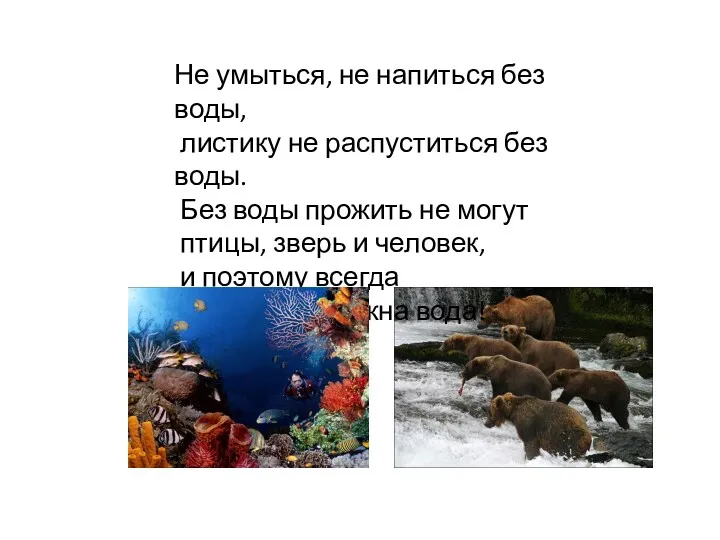 Не умыться, не напиться без воды, листику не распуститься без воды. Без воды