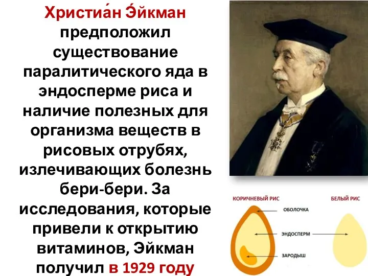 Христиа́н Э́йкман предположил существование паралитического яда в эндосперме риса и