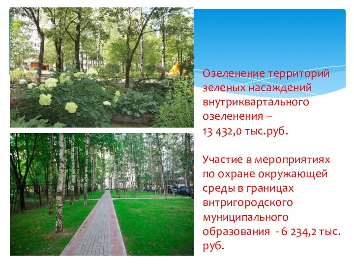 Озеленение территорий зеленых насаждений внутриквартального озеленения – 13 432,0 тыс.руб. Участие в мероприятиях