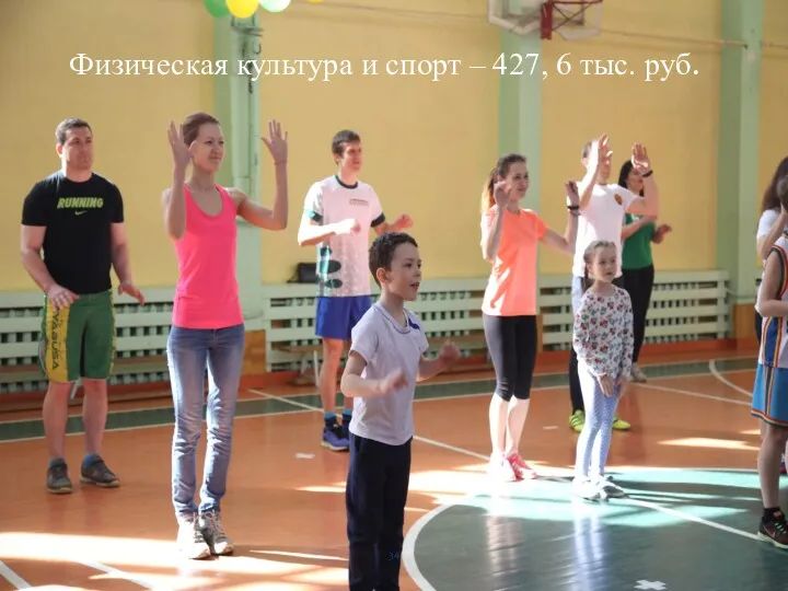 Физическая культура и спорт – 427, 6 тыс. руб.