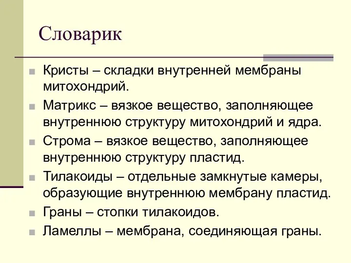 Словарик Кристы – складки внутренней мембраны митохондрий. Матрикс – вязкое