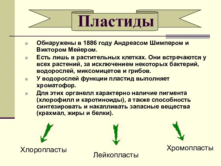 Пластиды Обнаружены в 1886 году Андреасом Шимпером и Виктором Мейером.