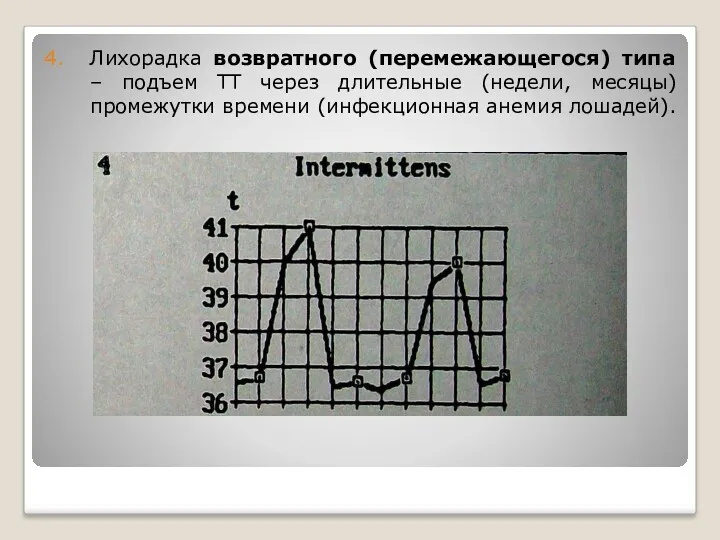 Лихорадка возвратного (перемежающегося) типа – подъем ТТ через длительные (недели, месяцы) промежутки времени (инфекционная анемия лошадей).