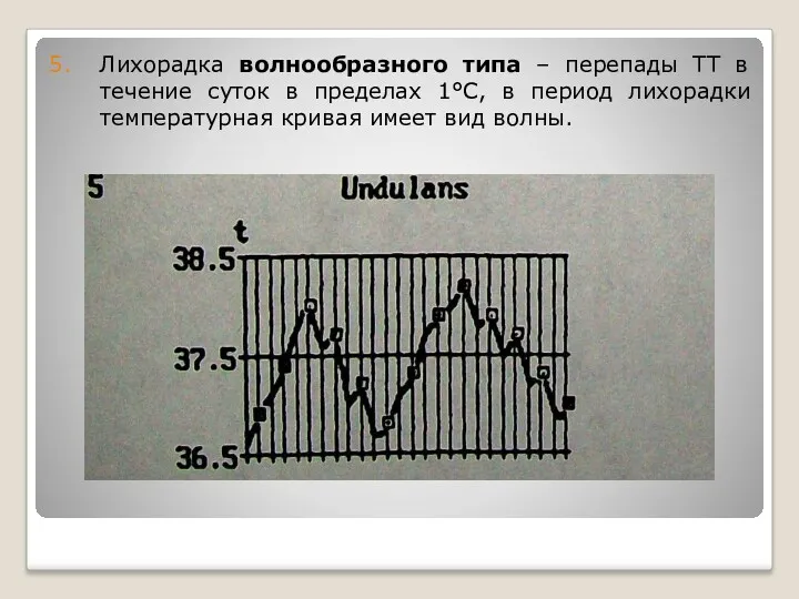 Лихорадка волнообразного типа – перепады ТТ в течение суток в