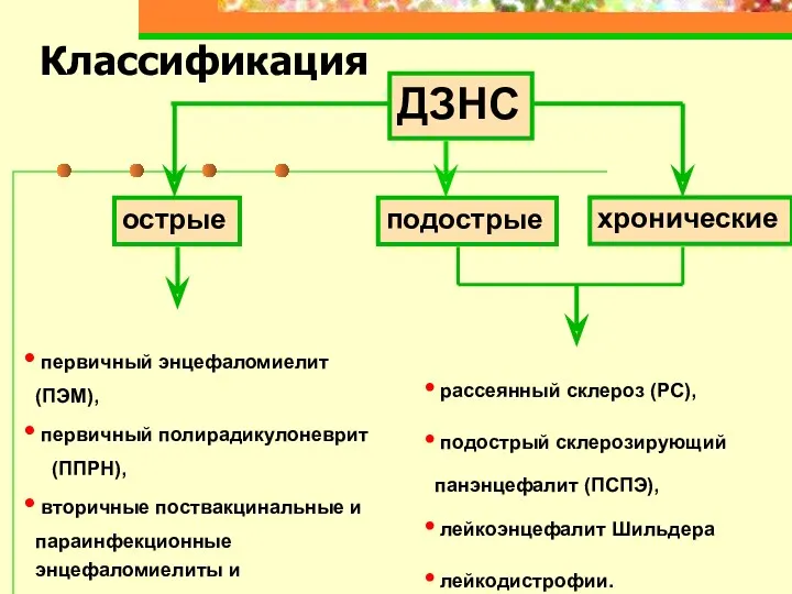 Классификация ДЗНС острые подострые хронические первичный энцефаломиелит (ПЭМ), первичный полирадикулоневрит