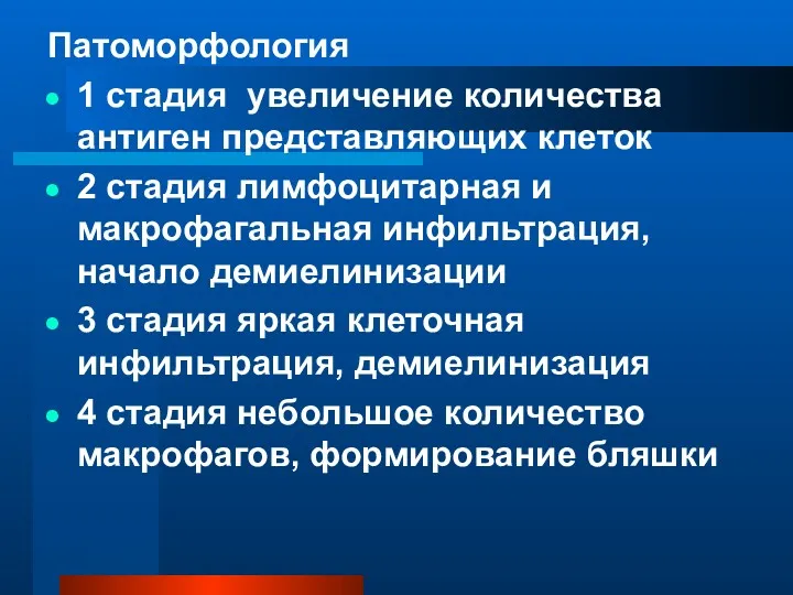 Патоморфология 1 стадия увеличение количества антиген представляющих клеток 2 стадия