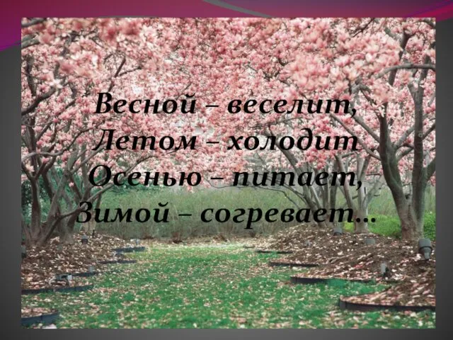 Весной – веселит, Летом – холодит Осенью – питает, Зимой – согревает…