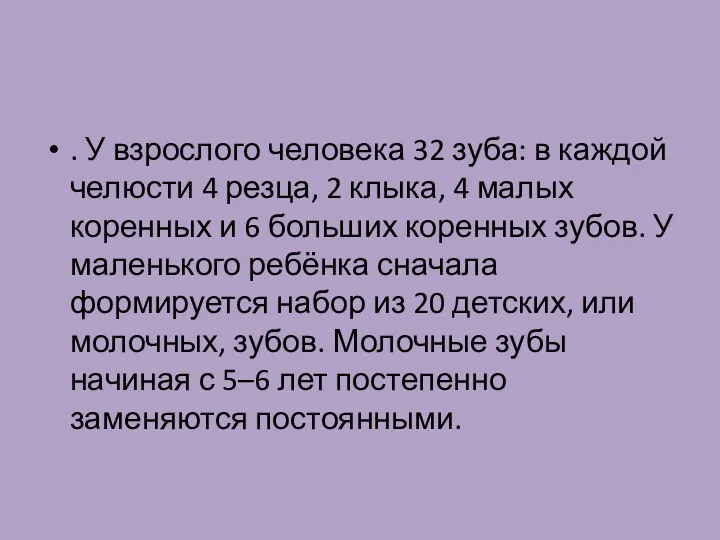 . У взрослого человека 32 зуба: в каждой челюсти 4