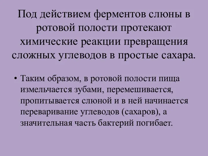 Под действием ферментов слюны в ротовой полости протекают химические реакции