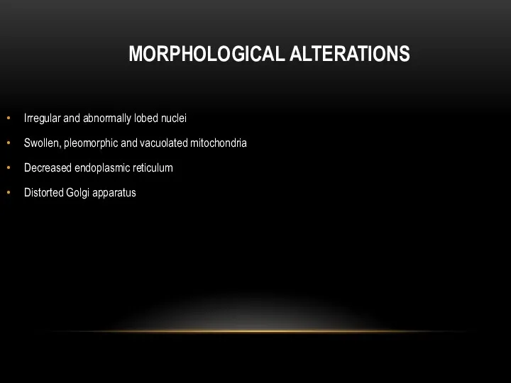 MORPHOLOGICAL ALTERATIONS Irregular and abnormally lobed nuclei Swollen, pleomorphic and