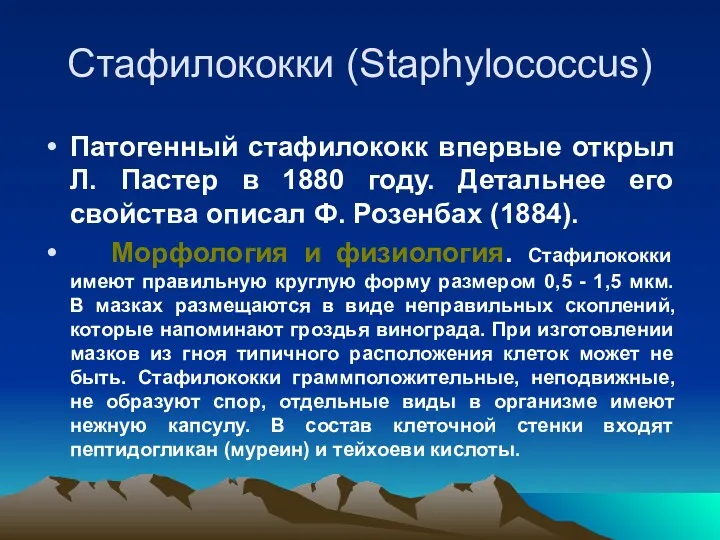 Стафилококки (Staphylococcus) Патогенный стафилококк впервые открыл Л. Пастер в 1880 году. Детальнее его