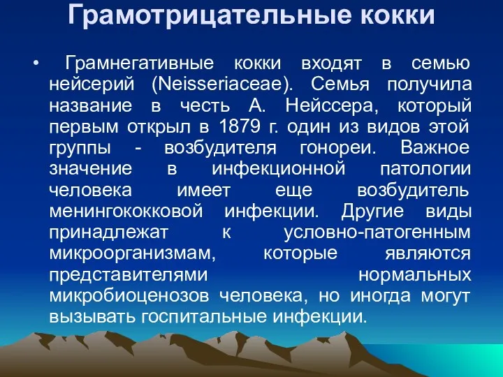 Грамотрицательные кокки Грамнегативные кокки входят в семью нейсерий (Neisseriaceae). Семья