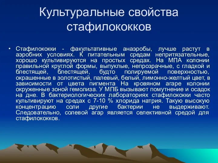 Культуральные свойства стафилококков Стафилококки - факультативные анаэробы, лучше растут в