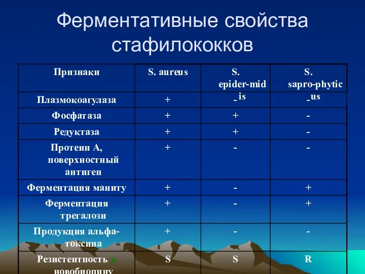 Ферментативные свойства стафилококков