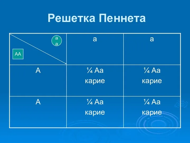 Решетка Пеннета аа АА