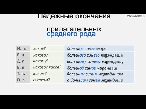 Падежные окончания прилагательных среднего рода какое? какого? какому? какого? какое?