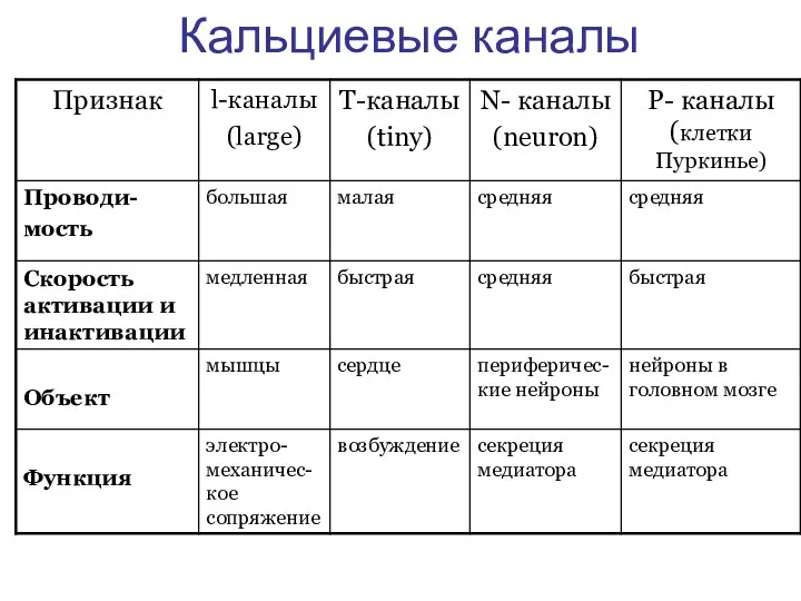 Кальциевые каналы