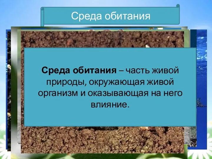 Что это? Среда обитания Среда обитания – часть живой природы,