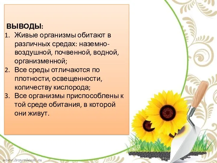 ВЫВОДЫ: Живые организмы обитают в различных средах: наземно-воздушной, почвенной, водной,