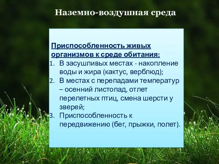 Наземно-воздушная среда Особенности: Достаточное количество кислорода; Часто не хватает влаги