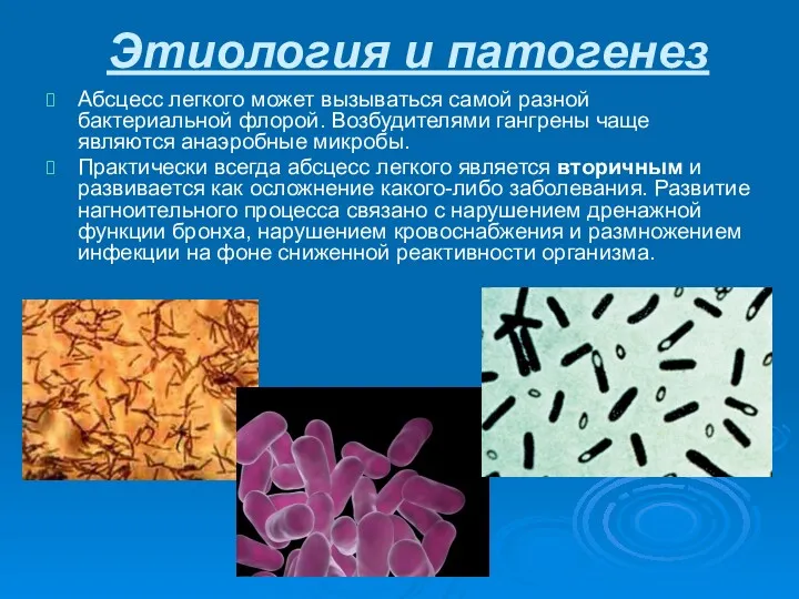 Этиология и патогенез Абсцесс легкого может вызываться самой разной бактериальной