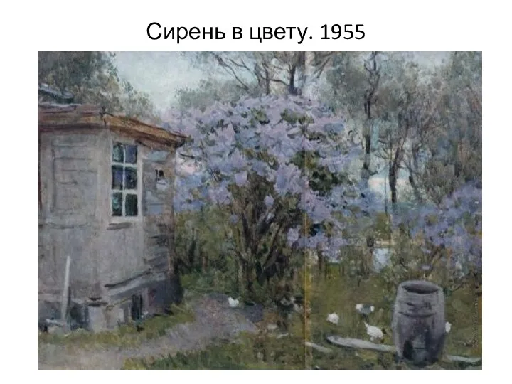 Сирень в цвету. 1955