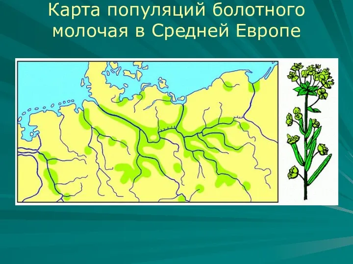 Карта популяций болотного молочая в Средней Европе