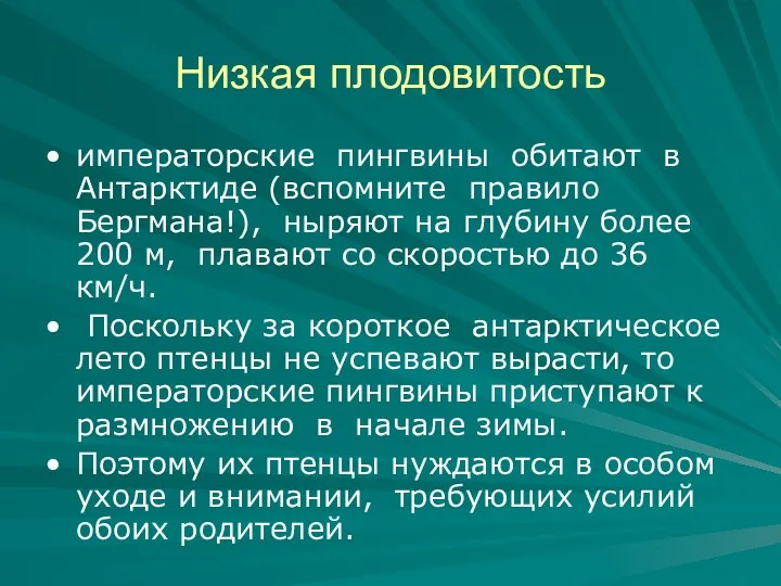 Низкая плодовитость императорские пингвины обитают в Антарктиде (вспомните правило Бергмана!),