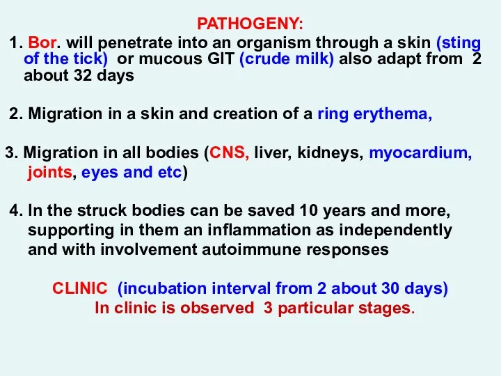 PATHOGENY: 1. Вor. will penetrate into an organism through a