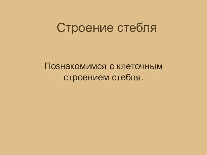 Строение стебля