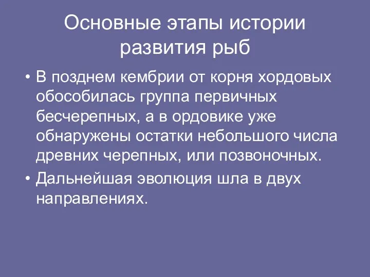 Основные этапы истории развития рыб В позднем кембрии от корня