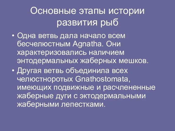 Основные этапы истории развития рыб Одна ветвь дала начало всем