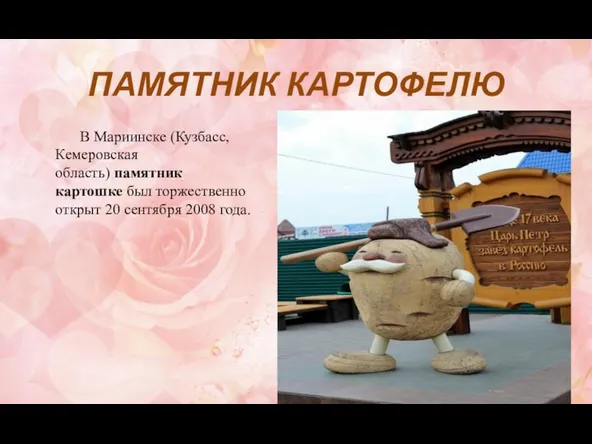 ПАМЯТНИК КАРТОФЕЛЮ В Мариинске (Кузбасс, Кемеровская область) памятник картошке был торжественно открыт 20 сентября 2008 года.