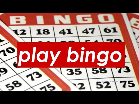 play bingo yasamansamsami@gmail.com