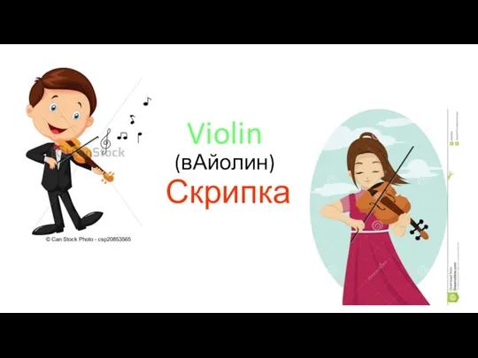 Violin (вАйолин) Скрипка