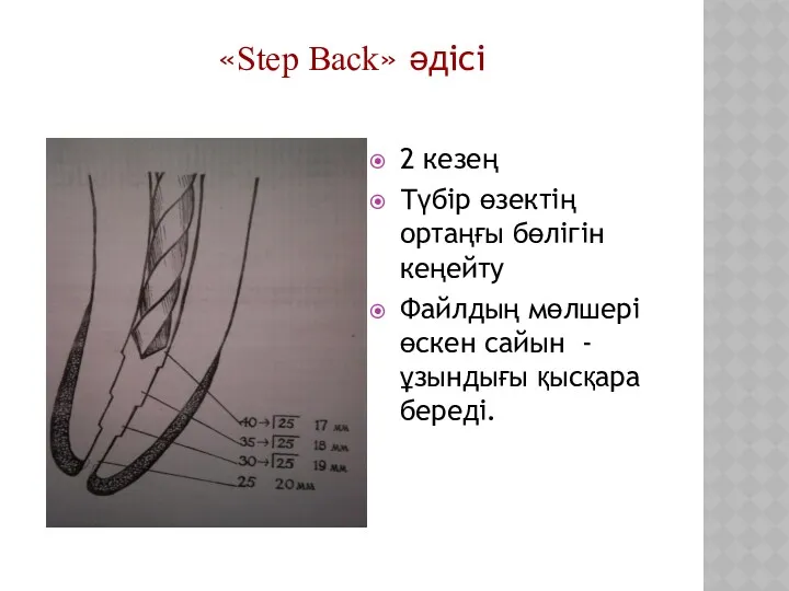 2 кезең Түбір өзектің ортаңғы бөлігін кеңейту Файлдың мөлшері өскен