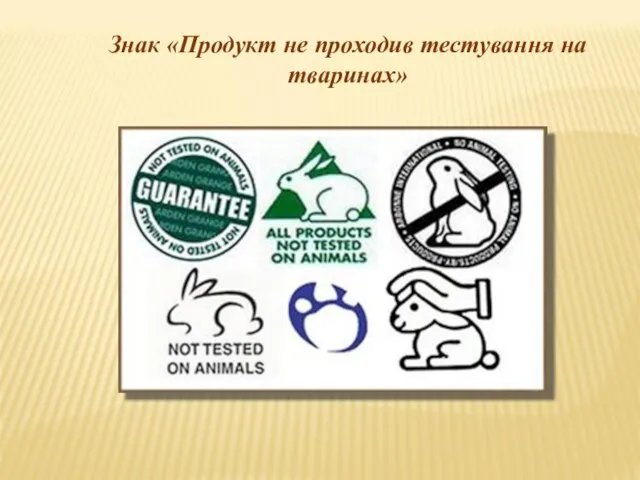 Знак «Продукт не проходив тестування на тваринах»