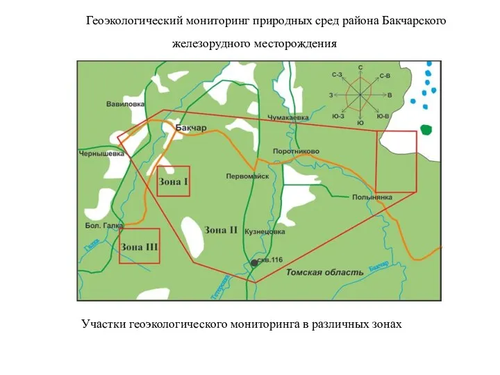 Геоэкологический мониторинг природных сред района Бакчарского железорудного месторождения Участки геоэкологического мониторинга в различных зонах