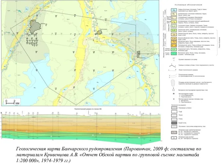 Геологическая карта Бакчарского рудопроявления (Паровинчак, 2009 ф; составлена по материалам