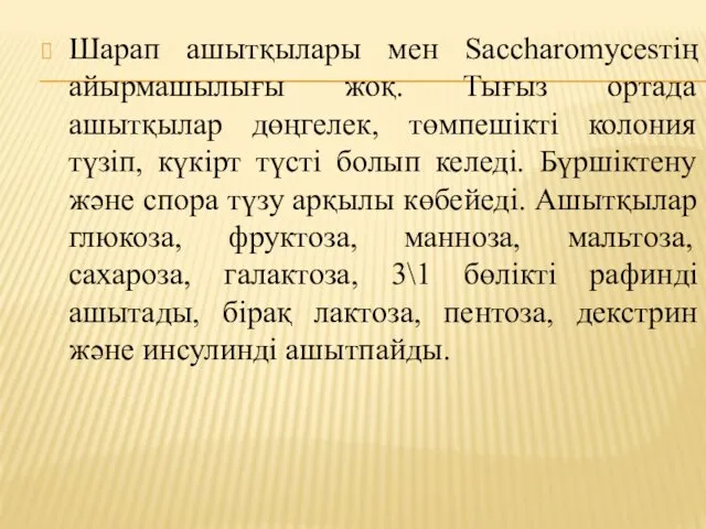 Шарап ашытқылары мен Saccharomycesтің айырмашылығы жоқ. Тығыз ортада ашытқылар дөңгелек,