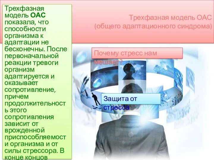 Трехфазная модель ОАС (общего адаптационного синдрома) Трехфазная модель ОАС показала,