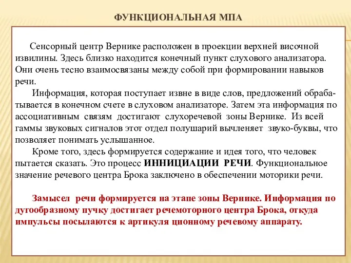 ФУНКЦИОНАЛЬНАЯ МПА Сенсорный центр Вернике расположен в проекции верхней височной