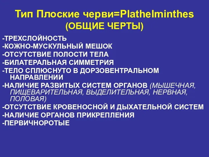 Тип Плоские черви=Plathelminthes (ОБЩИЕ ЧЕРТЫ) -ТРЕХСЛОЙНОСТЬ -КОЖНО-МУСКУЛЬНЫЙ МЕШОК -ОТСУТСТВИЕ ПОЛОСТИ