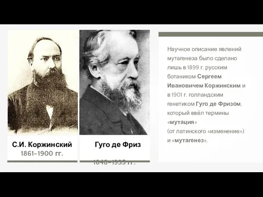 Гуго де Фриз 1848–1935 гг. Научное описание явлений мутагенеза было сделано лишь в