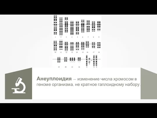 Анеуплоидия — изменение числа хромосом в геноме организма, не кратное гаплоидному набору.