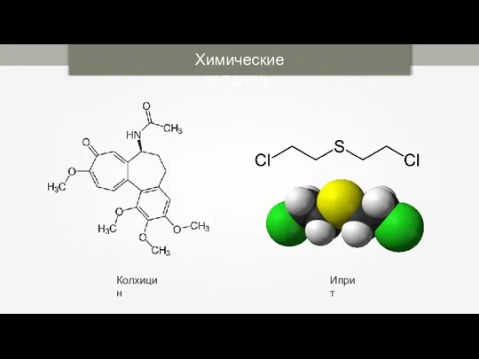 Химические мутагены Колхицин Иприт