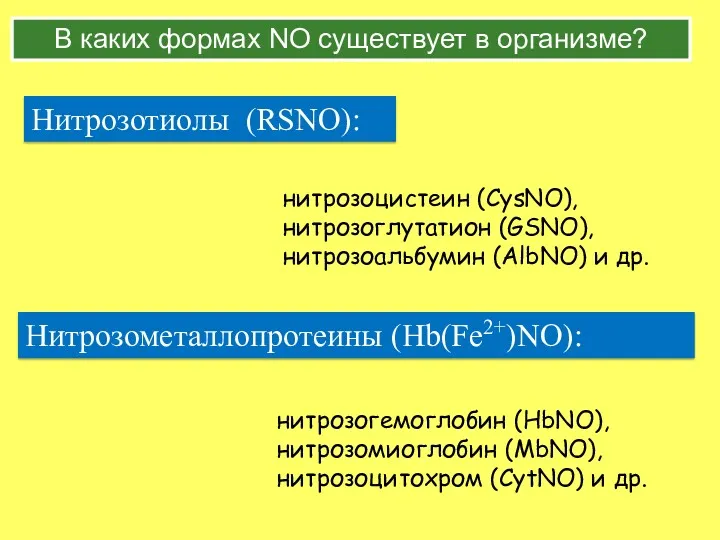 В каких формах NO существует в организме? Нитрозотиолы (RSNO): нитрозоцистеин (CysNO), нитрозоглутатион (GSNO),